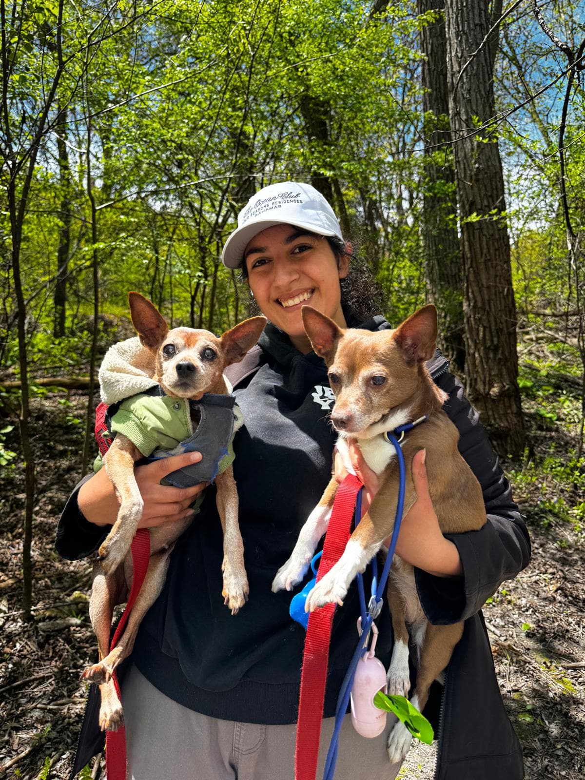 Amelia, MiMo's founder, on a Toronto trail with dogs in her care
